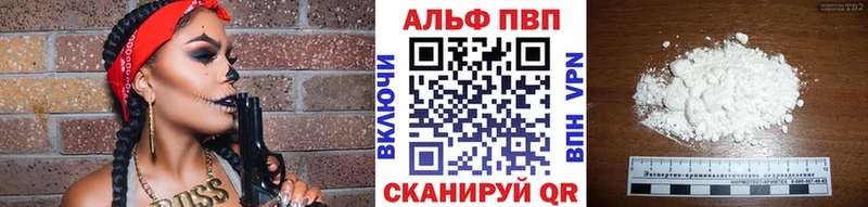 A PVP СК КРИС  Печора 