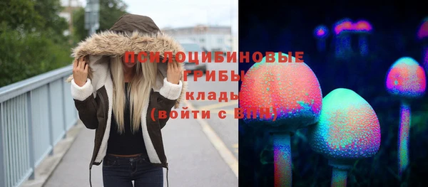 стаф Баксан