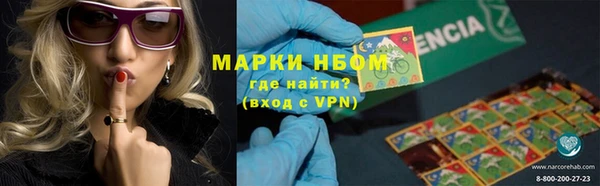 стаф Баксан