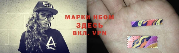 стаф Баксан