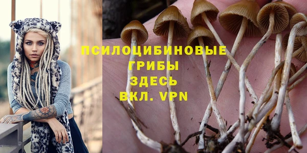 стаф Баксан